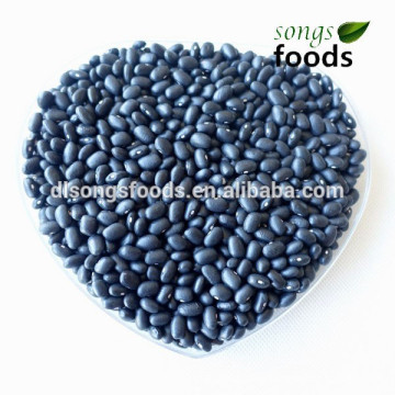 Wholesale Canned Black Bean Of Different Market